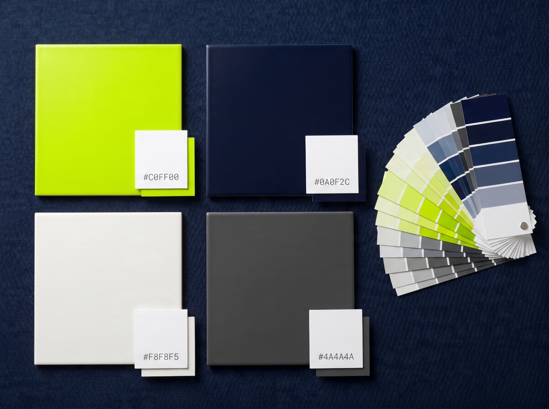 Color Palette