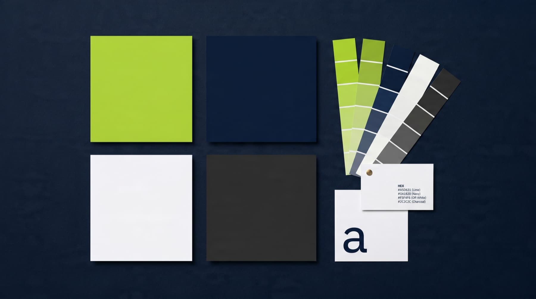 Color & Typography